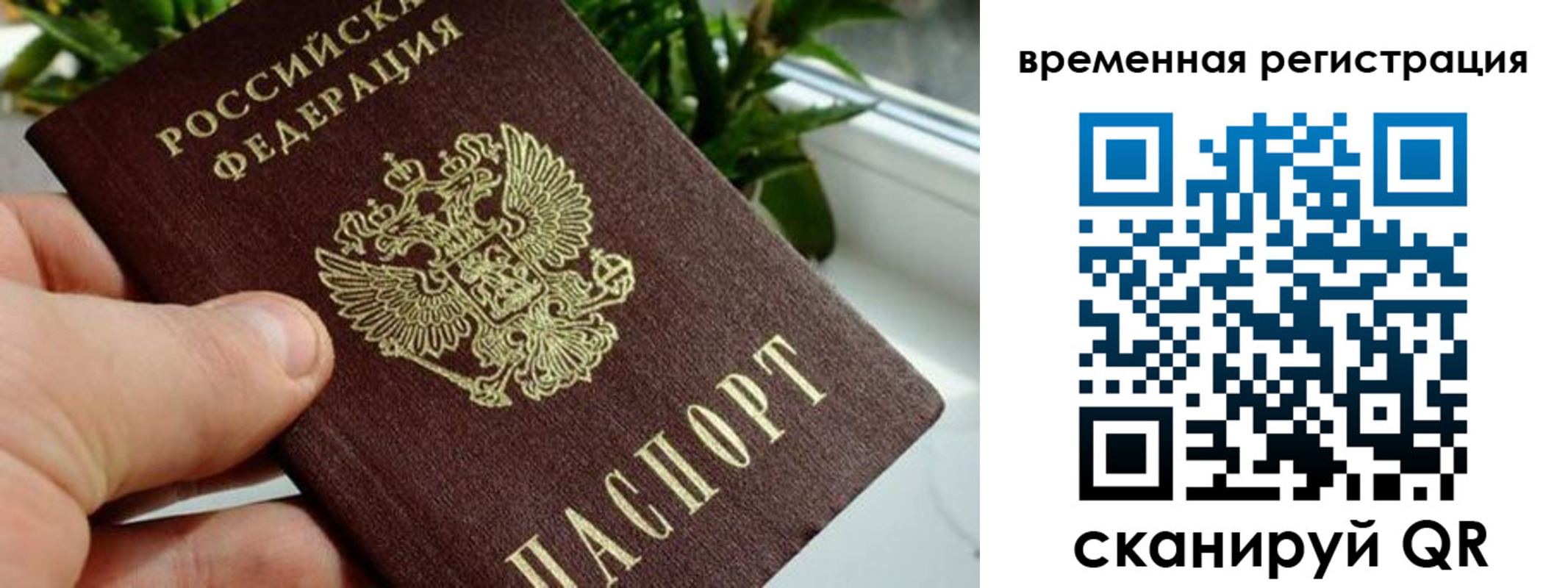 прописка поиск в Старой Купавне